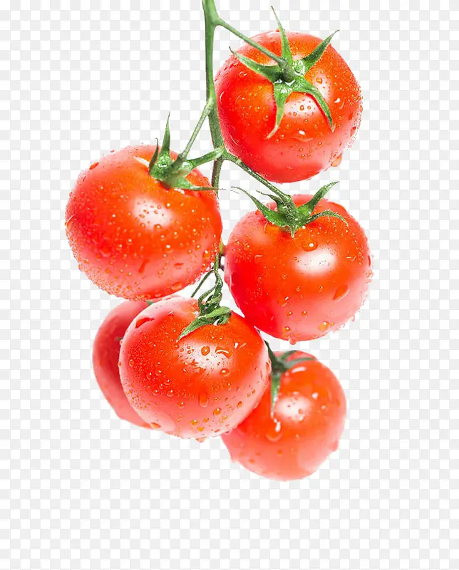 一串新鲜西红柿