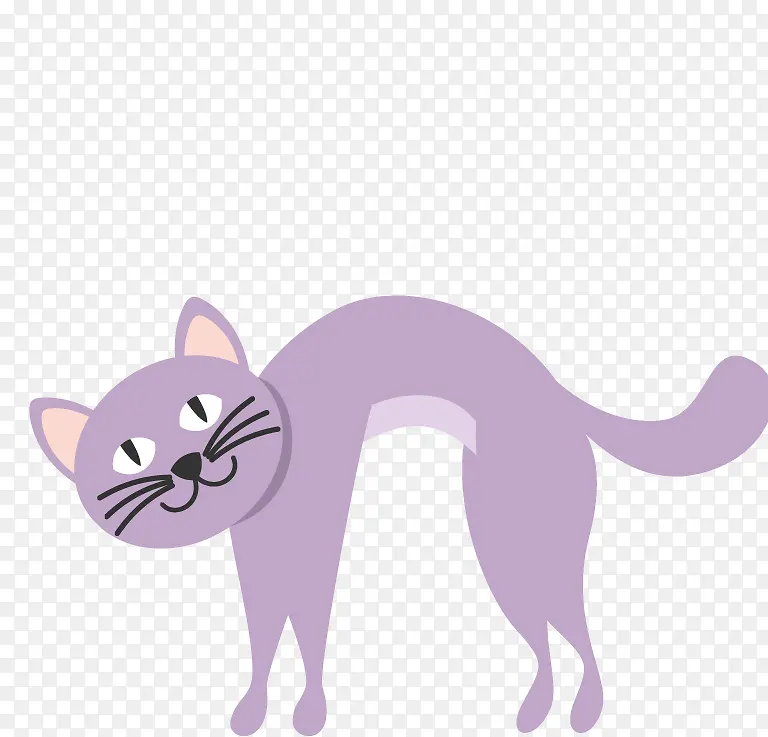 紫色小猫咪