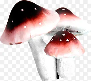 彩色春天蘑菇造型