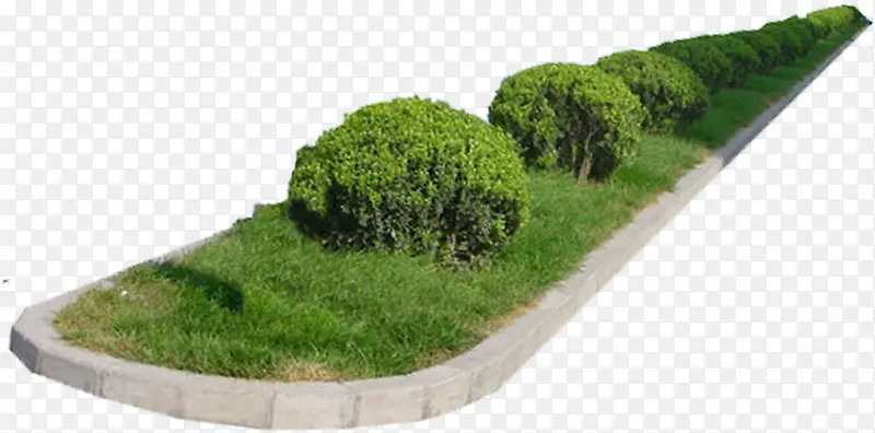 高清摄影绿色花园草丛环境渲染