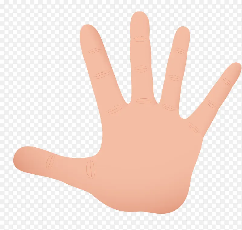 张开的大手掌PNG图片素材下载_图片编号ydkgwbzq-免抠素材网