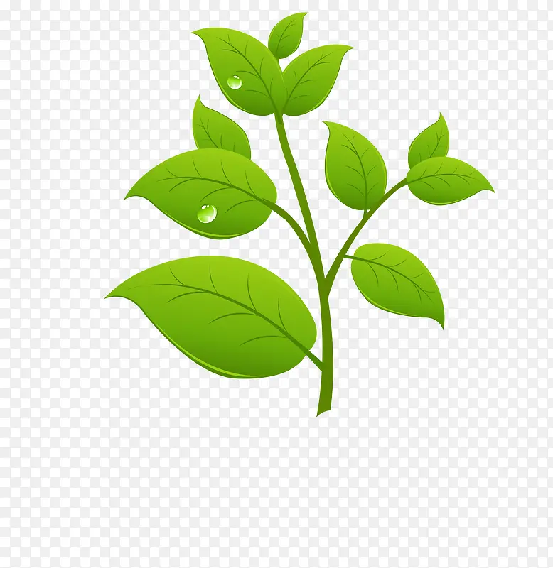 绿色环保植物装饰