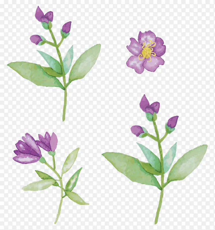 紫色手绘花系列