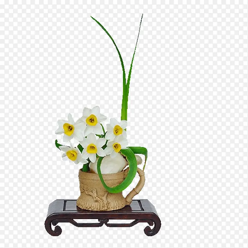 水仙花实物图