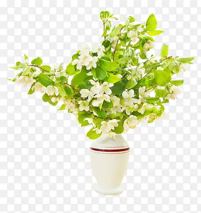 白色花瓶的里的花枝