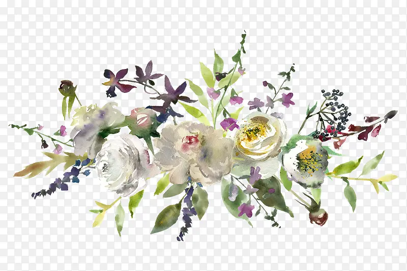 手绘植物花朵装饰边框