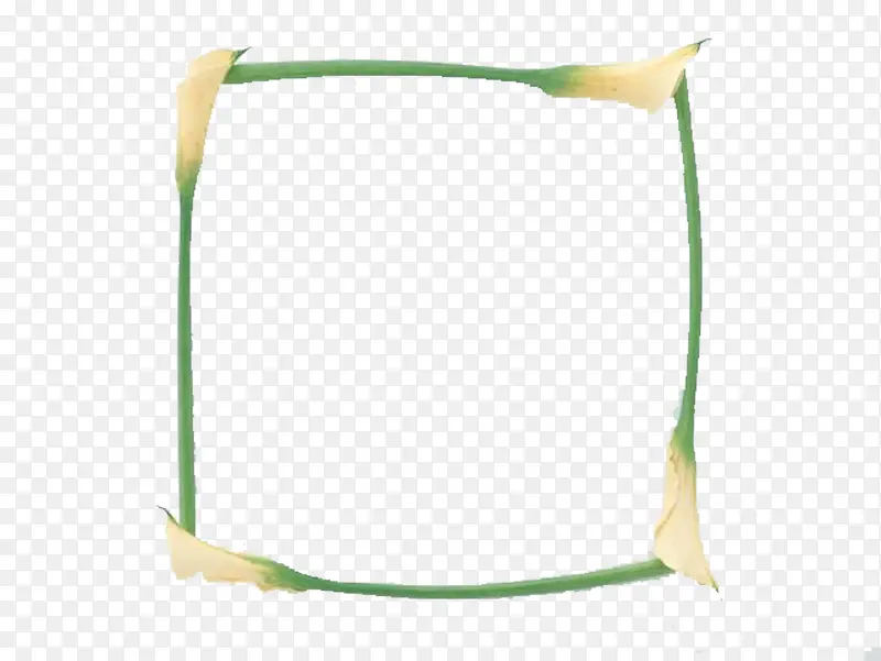 白色水仙花边框