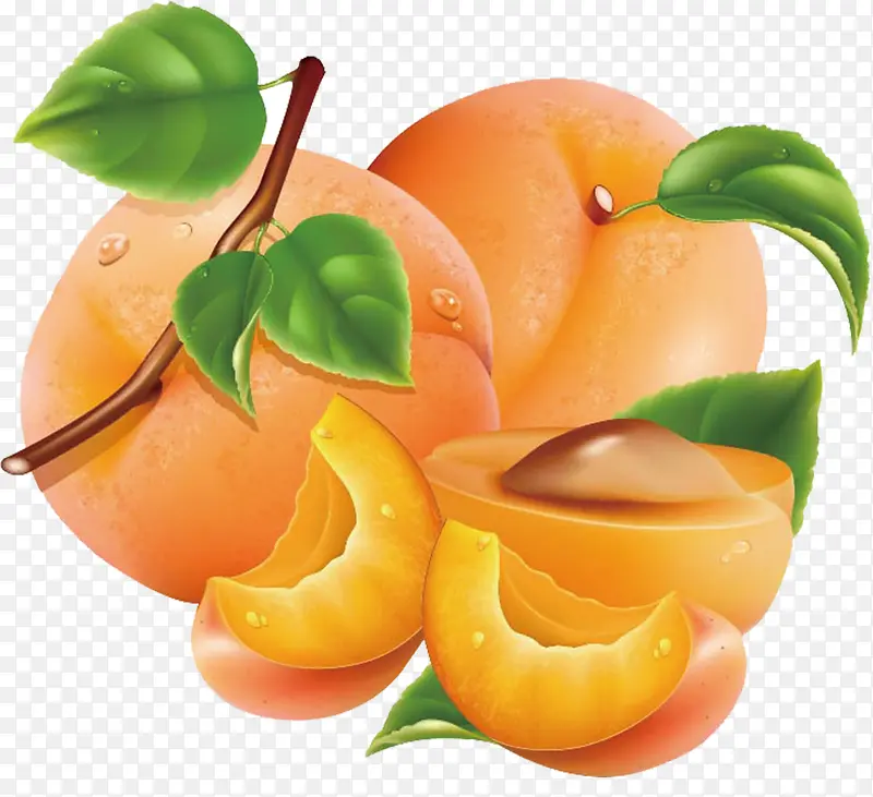 杏子图案