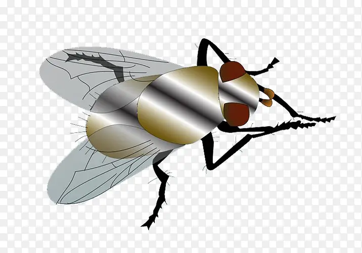 蚊子苍蝇素材
