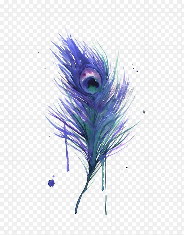 紫色孔雀羽毛