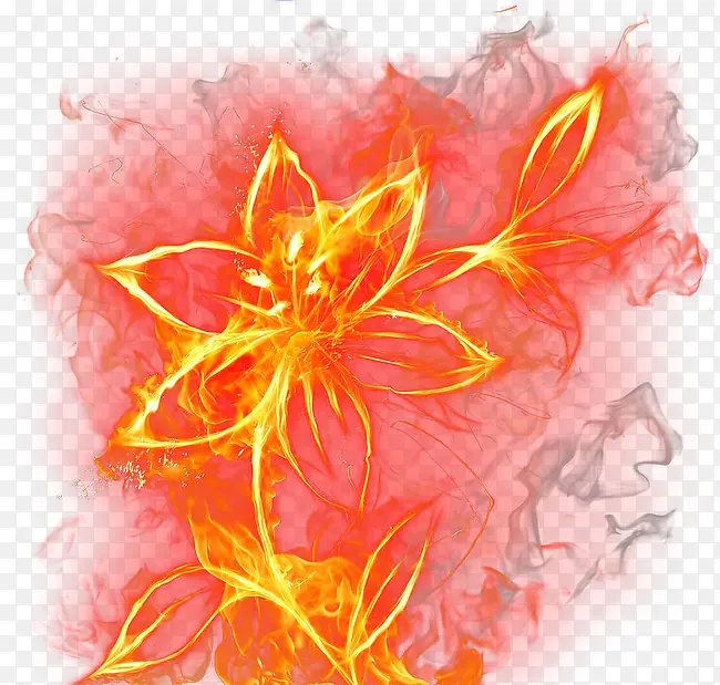 燃烧的花朵