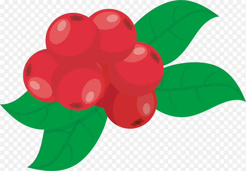 反光水彩红色矢量蔓越莓