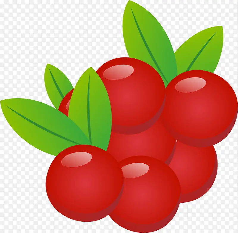 可口的矢量红色蔓越莓