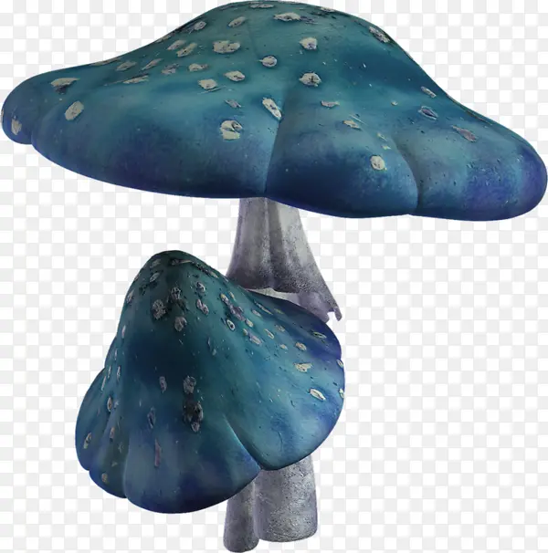 蓝色蘑菇