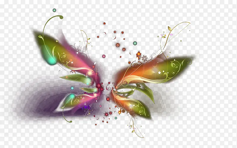 美轮美奂的彩色蝴蝶