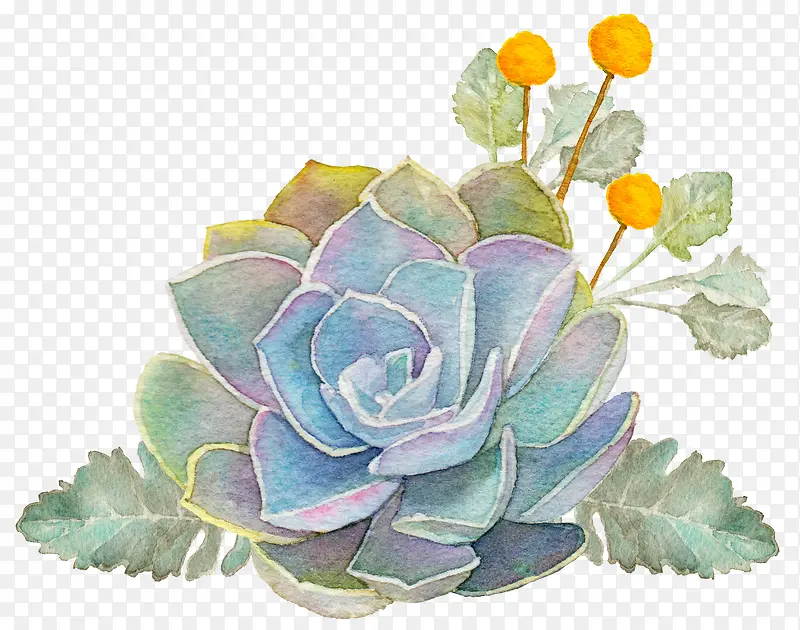 手绘绿色多肉植物免抠图