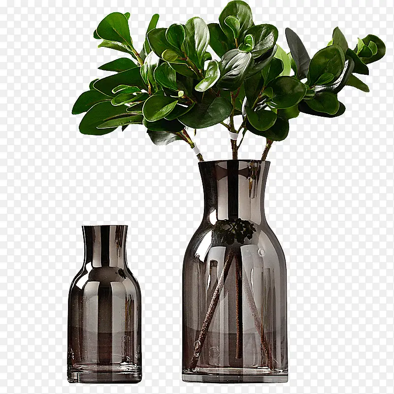 花瓶里面的绿色植物
