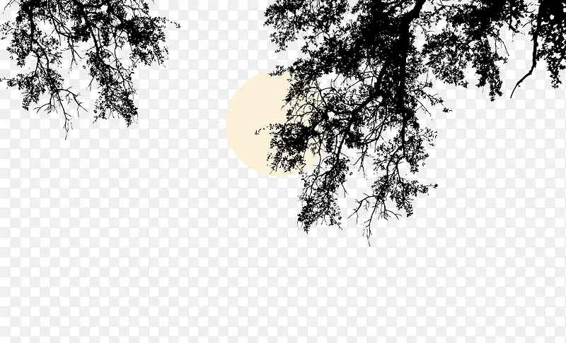 黑白树枝树叶特写剪影月亮