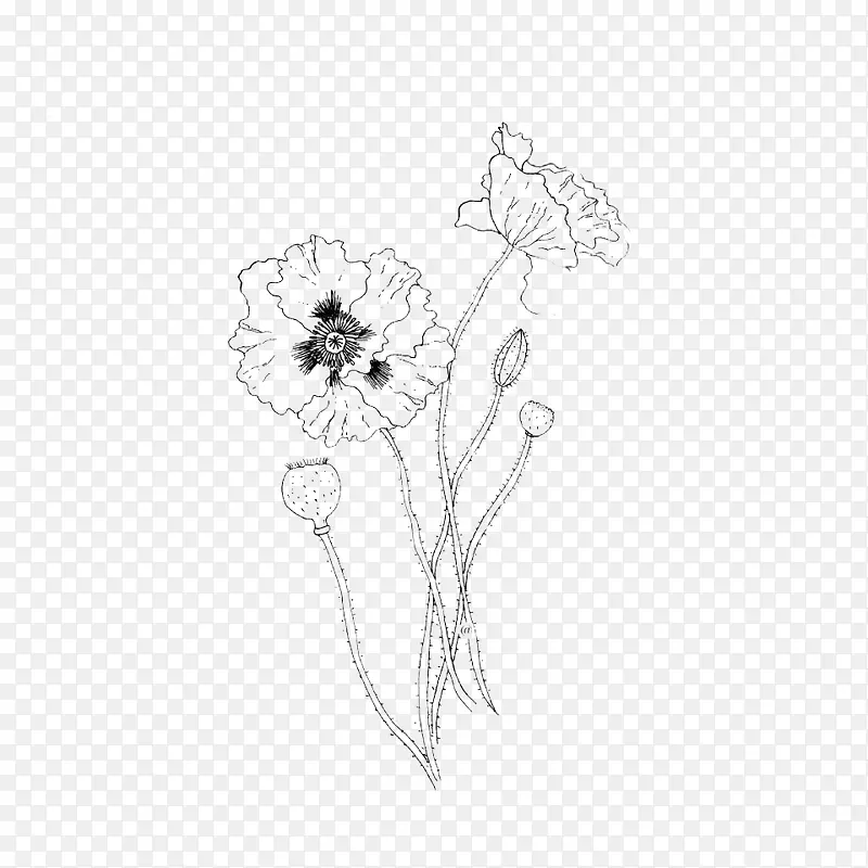 黑白花卉创意装饰图案