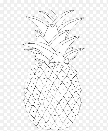 手绘菠萝 线描 黑白菠萝