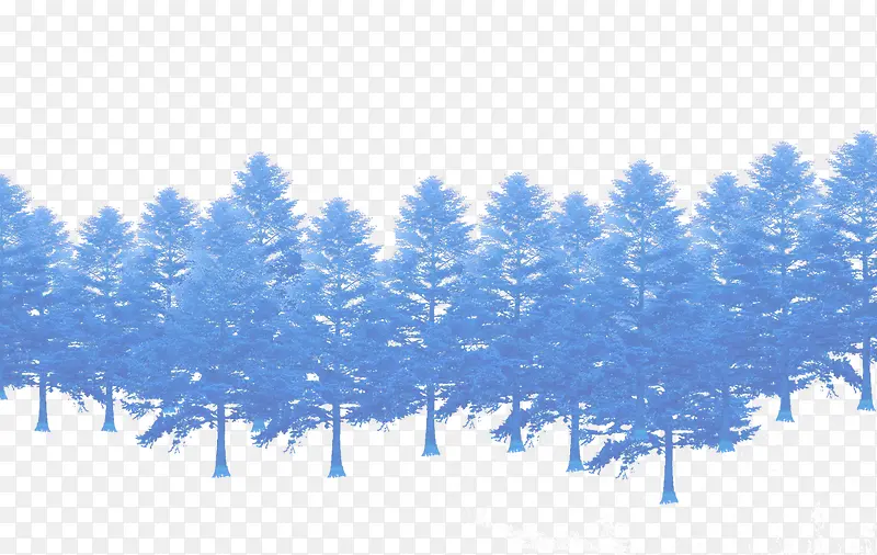 蓝色松树