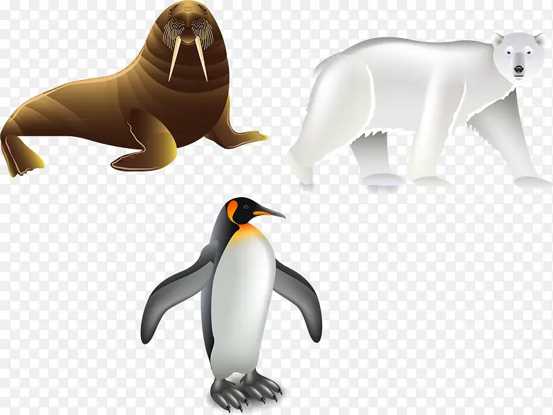 海象企鹅PNG矢量元素