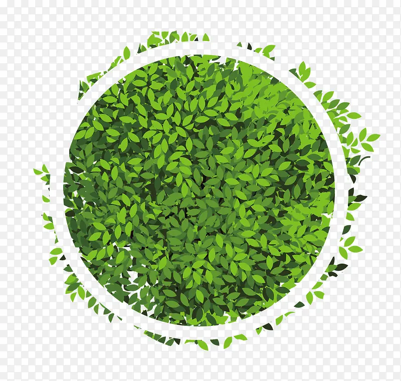 绿色圆圈树叶效果元素
