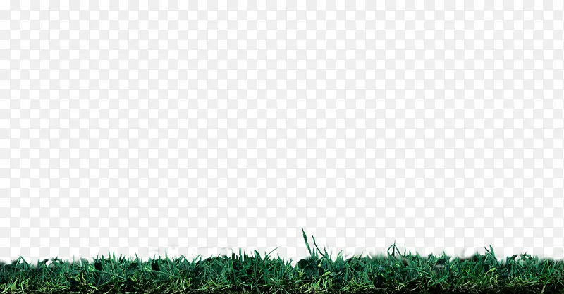 绿色草地草坪边框纹理