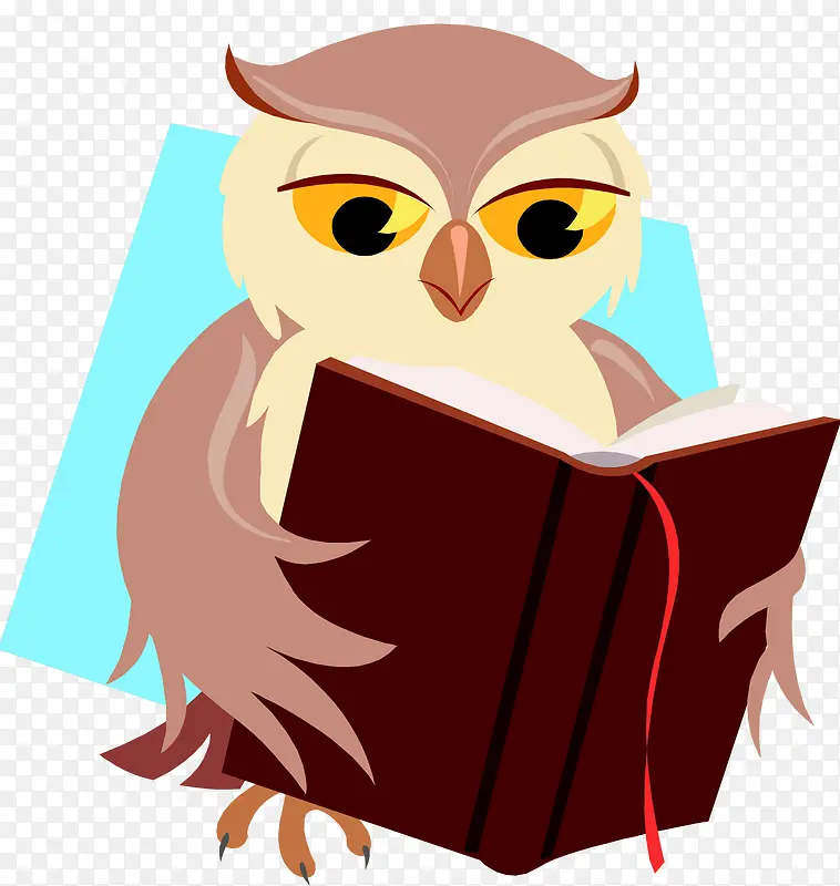 扁平猫头鹰看书