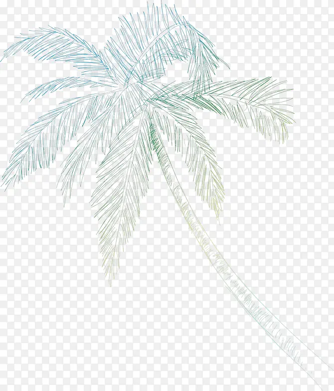 素描椰子树