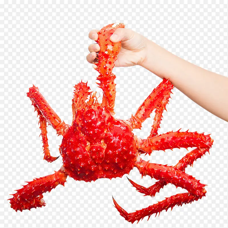 手拿螃蟹