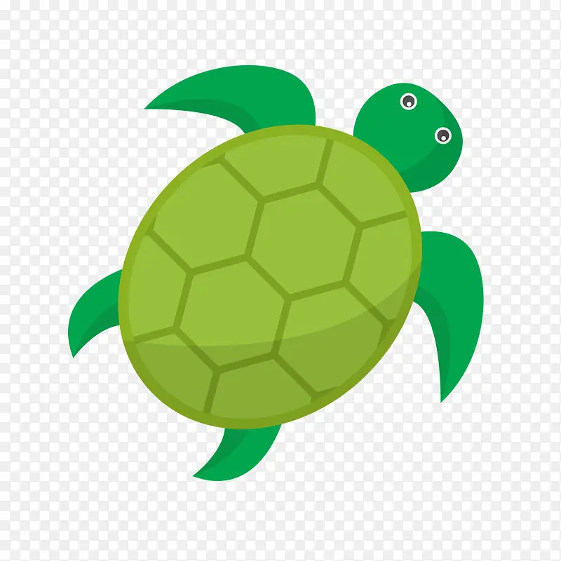 绿色乌龟背景装饰