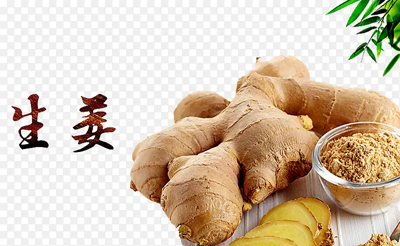 生姜素材PNG图片素材下载_图片编号yamabamy-免抠素材网