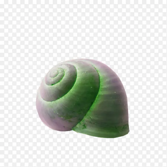 发光的蜗牛壳