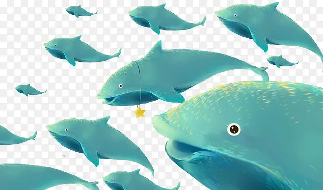 蓝色海豚鱼群