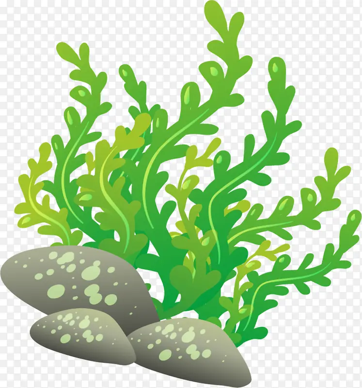 海洋植物舞动的海草