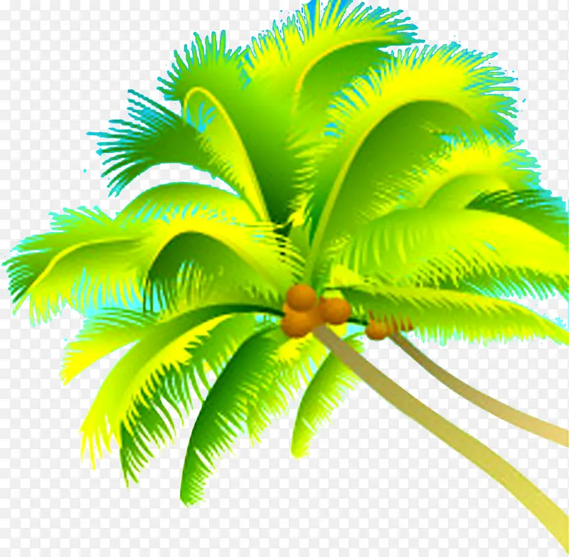 插画植物夏日清凉椰子树