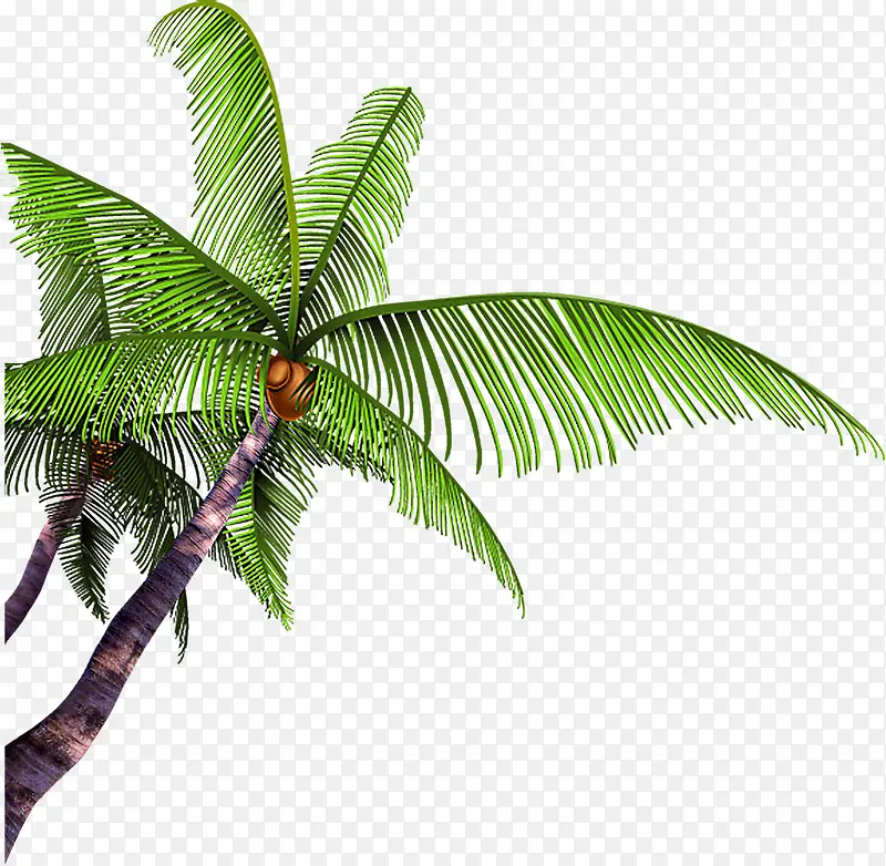 夏日海报清凉椰子树