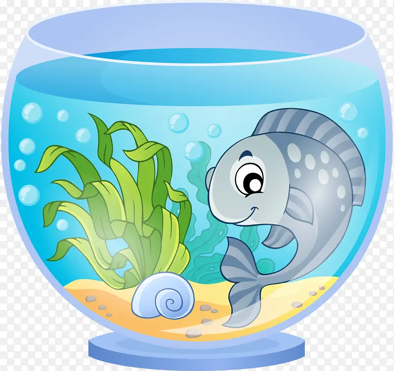 透明的鱼缸