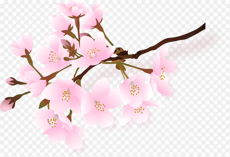春天绽放的粉色桃花