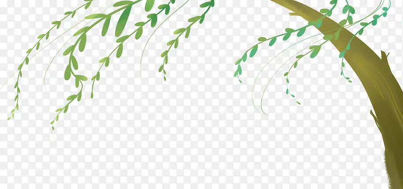 小清新夏日植物柳树装饰边框