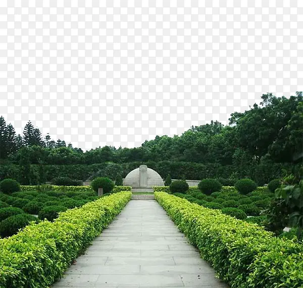 陵园拍摄图插图元素