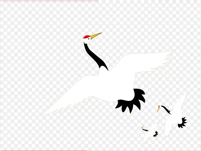 一只白色飞翔的天鹤