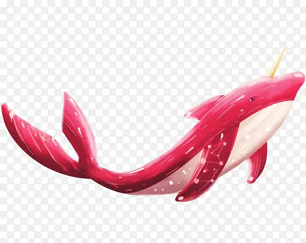 一条红色的海豚