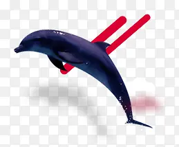 手绘海豚红色斜杠