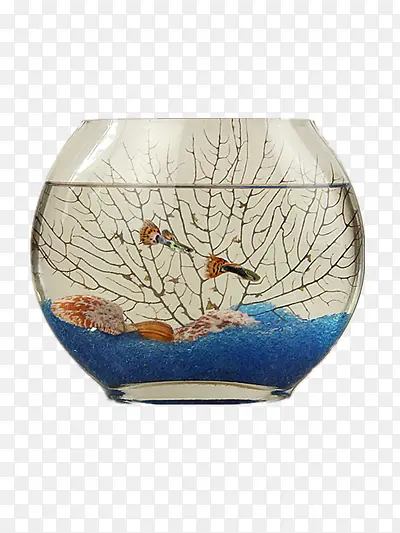 鱼缸图片