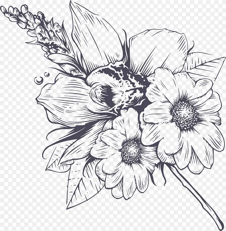 素描手绘雏菊