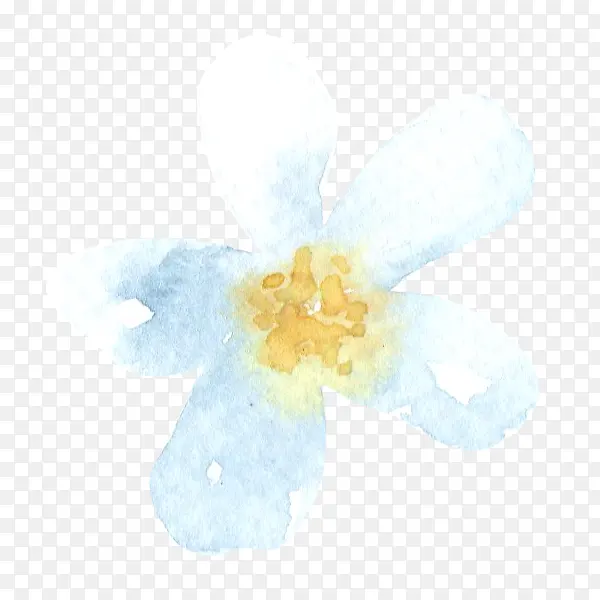 手绘漂浮的白色花朵