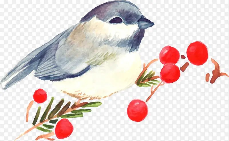 卡通手绘圣诞果实小鸟