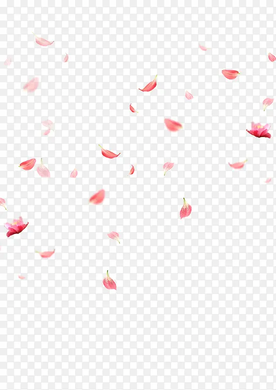 花瓣漂浮元素